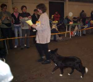 Amidalas erste Ausstellung